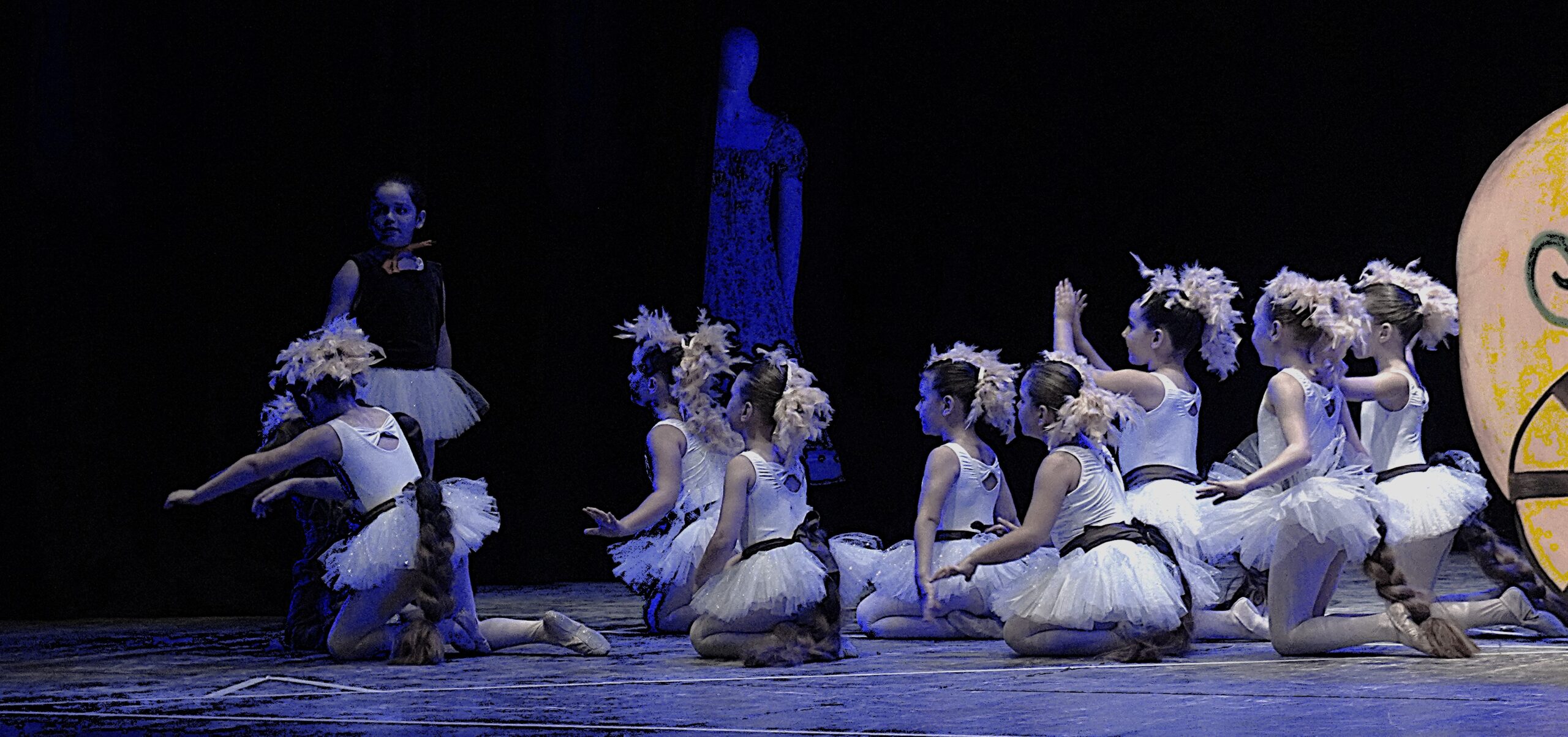 Centro di formazione danza classica professionale a Firenze